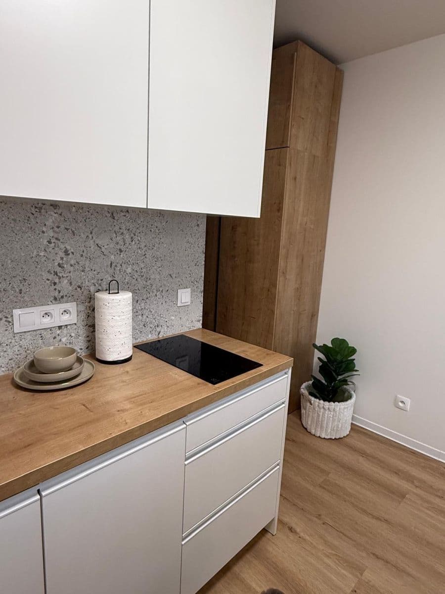 Pronájem bytu 1+kk 28 m², Na Větrníku, Praha, Praha Pronájem bytu 1+kk 28 m², Na Větrníku, Praha, Praha