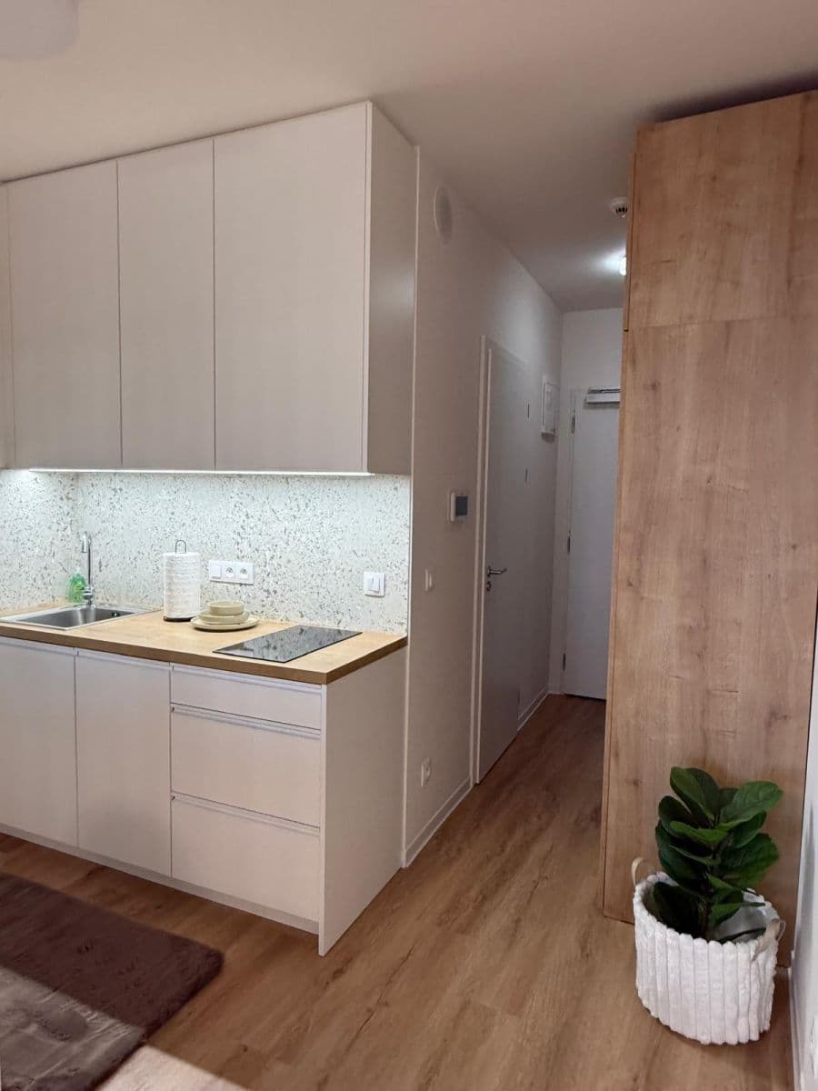 Pronájem bytu 1+kk 28 m², Na Větrníku, Praha, Praha Pronájem bytu 1+kk 28 m², Na Větrníku, Praha, Praha