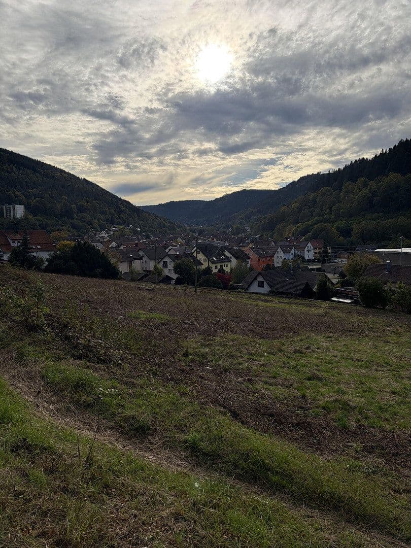 Prodej pozemku 4.300 m², Höfener Straße, Bad Wildbad, Bádensko-Württembersko Prodej pozemku 4.300 m², Höfener Straße, Bad Wildbad, Bádensko-Württembersko