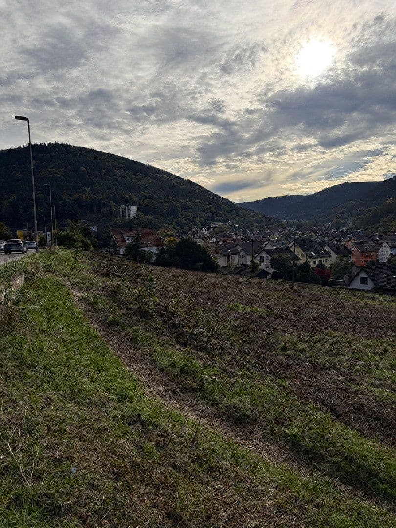 Prodej pozemku 4.300 m², Höfener Straße, Bad Wildbad, Bádensko-Württembersko Prodej pozemku 4.300 m², Höfener Straße, Bad Wildbad, Bádensko-Württembersko