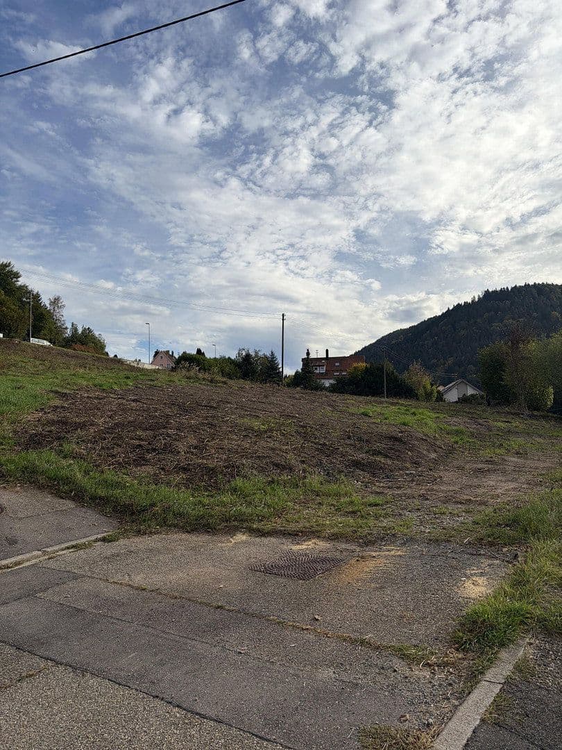 Prodej pozemku 4.300 m², Höfener Straße, Bad Wildbad, Bádensko-Württembersko Prodej pozemku 4.300 m², Höfener Straße, Bad Wildbad, Bádensko-Württembersko