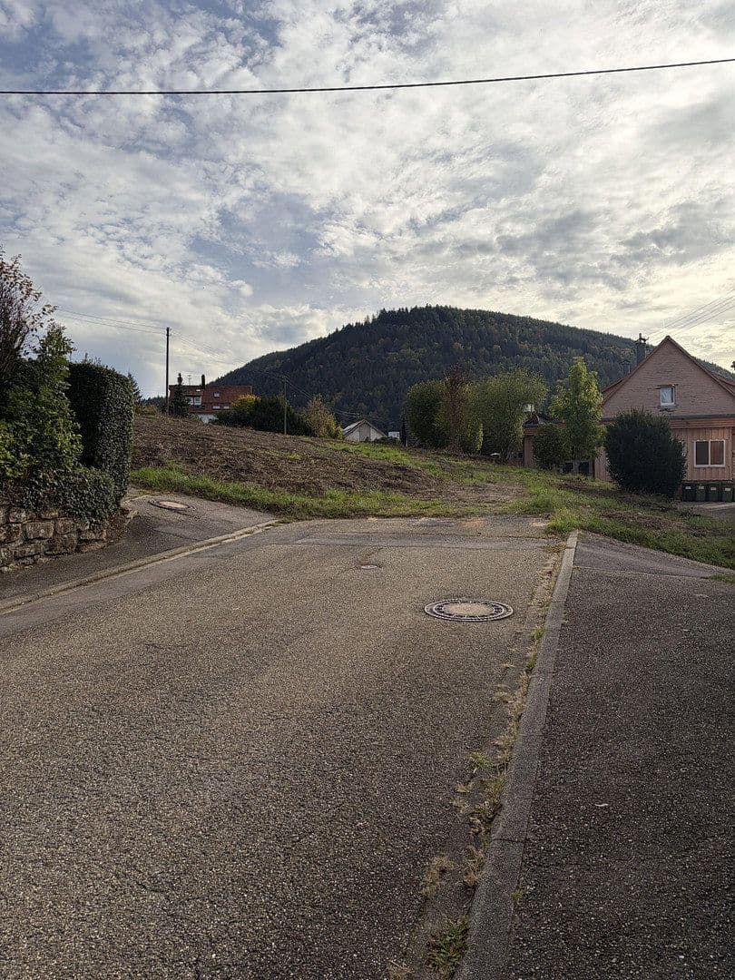 Prodej pozemku 4.300 m², Höfener Straße, Bad Wildbad, Bádensko-Württembersko Prodej pozemku 4.300 m², Höfener Straße, Bad Wildbad, Bádensko-Württembersko