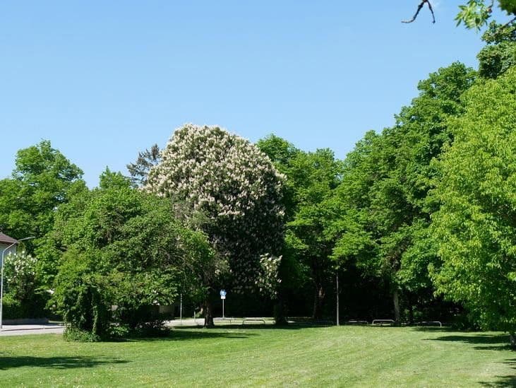 Prodej bytu 3+1 78 m², München, Bavorsko Prodej bytu 3+1 78 m², München, Bavorsko