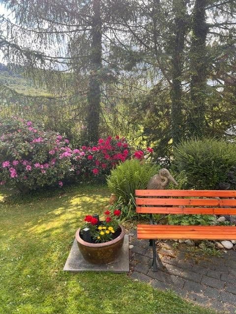 Prodej nebytového prostoru 2.326 m², Schieder-Schwalenberg, Severní Porýní-Vestfálsko Prodej nebytového prostoru 2.326 m², Schieder-Schwalenberg, Severní Porýní-Vestfálsko