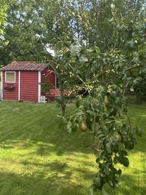 Prodej nebytového prostoru 2.326 m², Schieder-Schwalenberg, Severní Porýní-Vestfálsko Prodej nebytového prostoru 2.326 m², Schieder-Schwalenberg, Severní Porýní-Vestfálsko