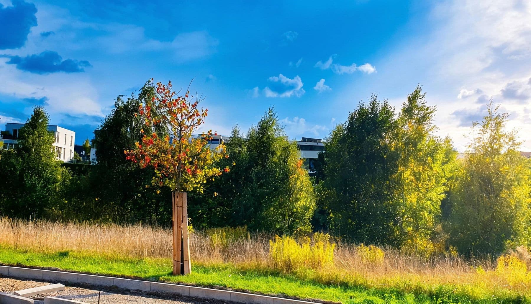 Prodej domu 312 m², pozemek 701 m², Röhrichtweg 12, Dortmund, Severní Porýní-Vestfálsko Prodej domu 312 m², pozemek 701 m², Röhrichtweg 12, Dortmund, Severní Porýní-Vestfálsko