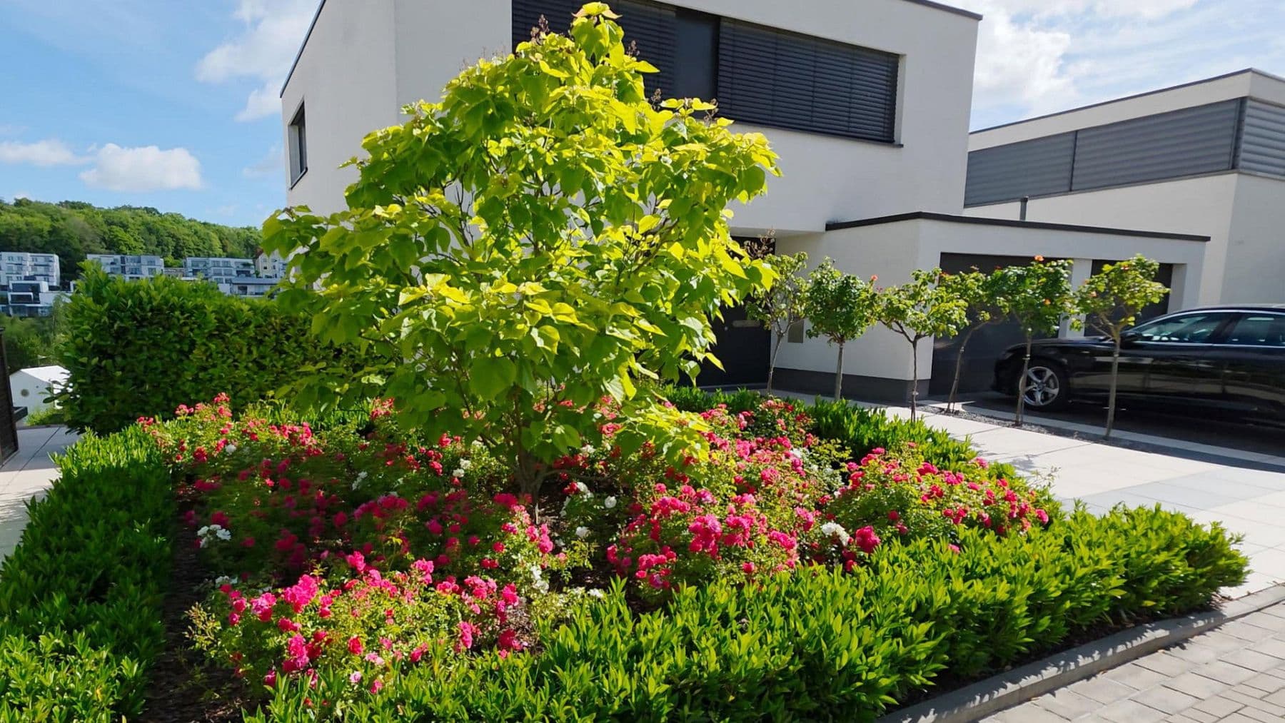 Prodej domu 312 m², pozemek 701 m², Röhrichtweg 12, Dortmund, Severní Porýní-Vestfálsko Prodej domu 312 m², pozemek 701 m², Röhrichtweg 12, Dortmund, Severní Porýní-Vestfálsko