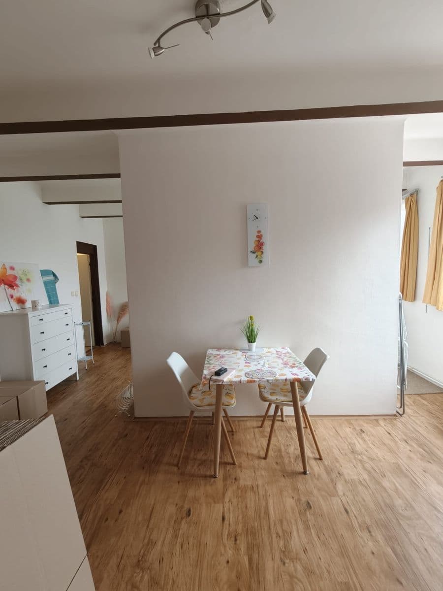 Pronájem bytu 1+1 40 m², V Horkách, Praha, Praha Pronájem bytu 1+1 40 m², V Horkách, Praha, Praha