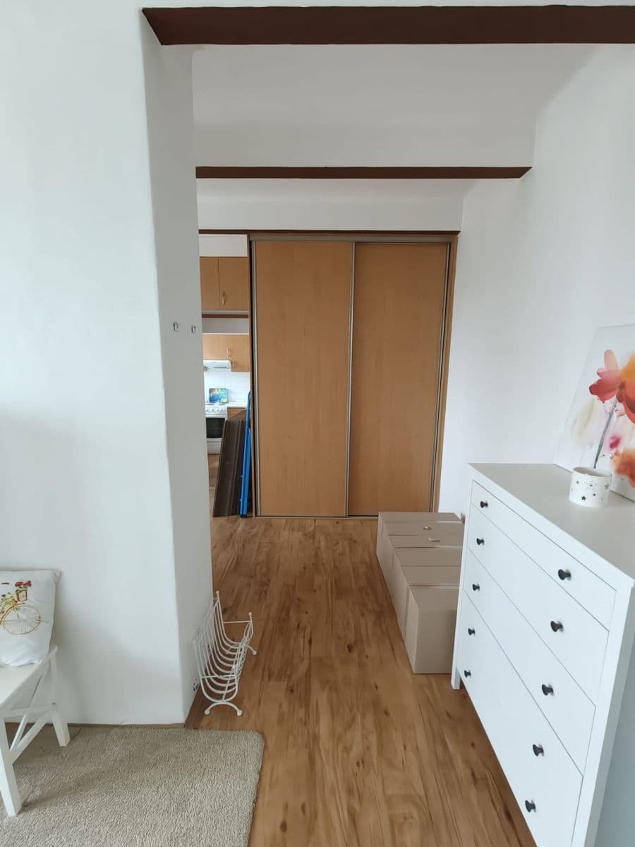 Pronájem bytu 1+1 40 m², V Horkách, Praha, Praha Pronájem bytu 1+1 40 m², V Horkách, Praha, Praha