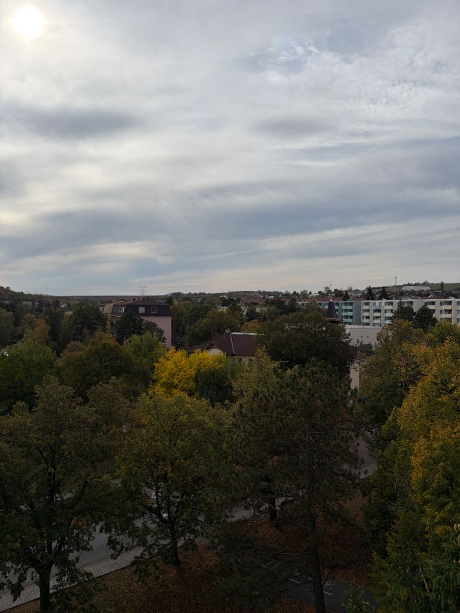 Prodej bytu 2+1 54 m², Masarykovo nám., Hustopeče, Jihomoravský kraj Prodej bytu 2+1 54 m², Masarykovo nám., Hustopeče, Jihomoravský kraj