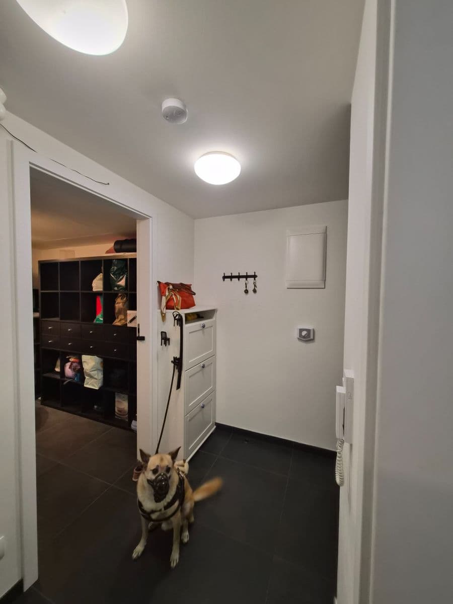Pronájem bytu 2+kk 50 m², Holečkova, Praha, Praha Pronájem bytu 2+kk 50 m², Holečkova, Praha, Praha