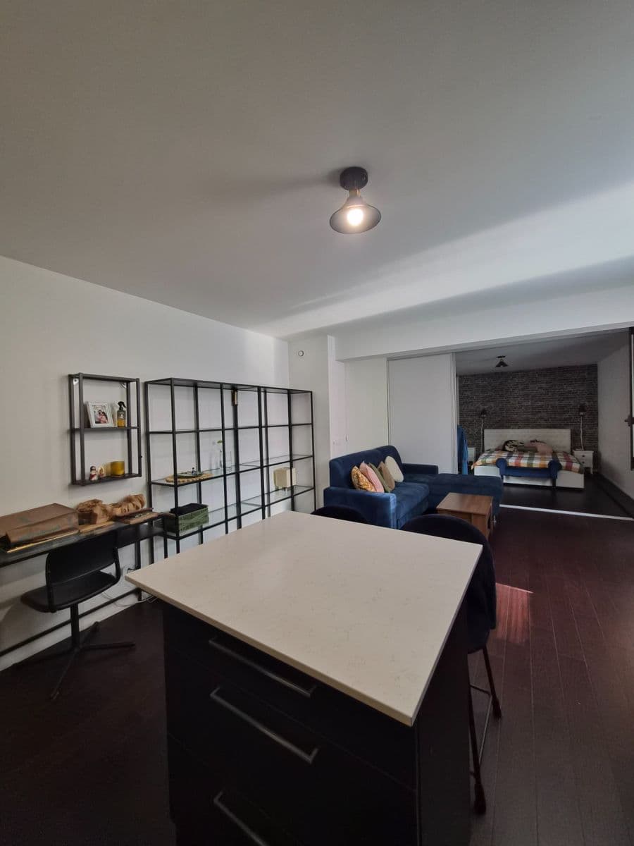 Pronájem bytu 2+kk 50 m², Holečkova, Praha, Praha Pronájem bytu 2+kk 50 m², Holečkova, Praha, Praha