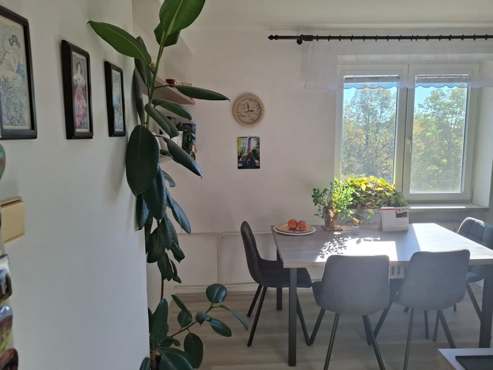 Prodej bytu 2+1 62 m², Ladova, Olomouc, Olomoucký kraj Prodej bytu 2+1 62 m², Ladova, Olomouc, Olomoucký kraj