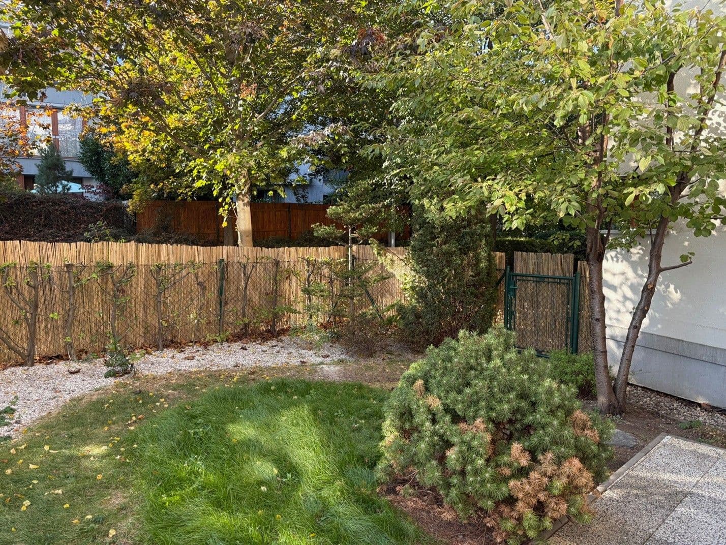 Pronájem bytu 2+kk 55 m², Štorkánova, Praha, Praha Pronájem bytu 2+kk 55 m², Štorkánova, Praha, Praha