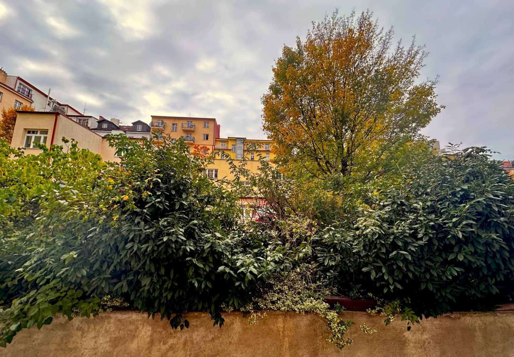 Pronájem bytu 2+1 48 m², Jičínská, Praha, Praha Pronájem bytu 2+1 48 m², Jičínská, Praha, Praha