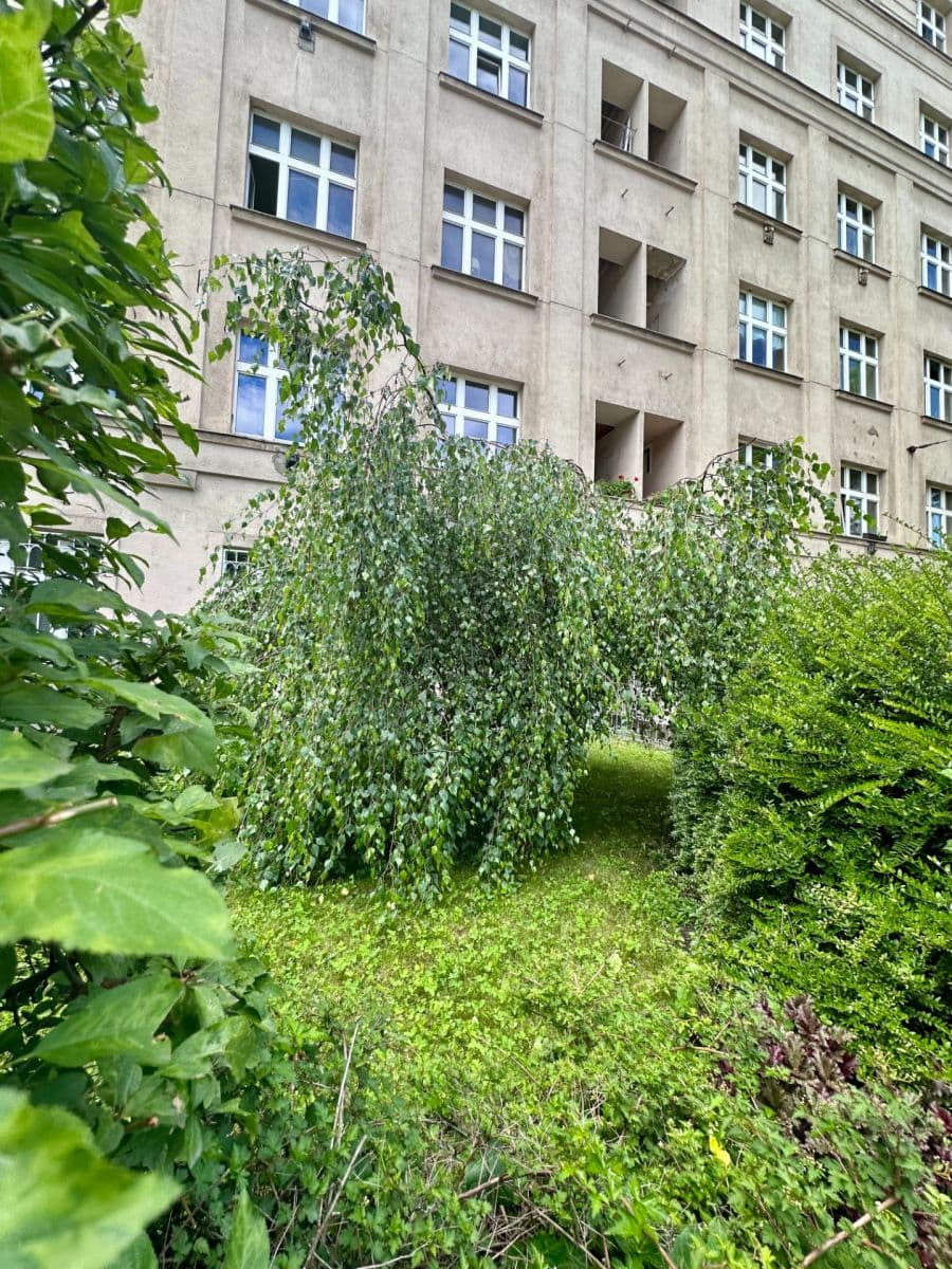 Pronájem bytu 2+1 48 m², Jičínská, Praha, Praha Pronájem bytu 2+1 48 m², Jičínská, Praha, Praha