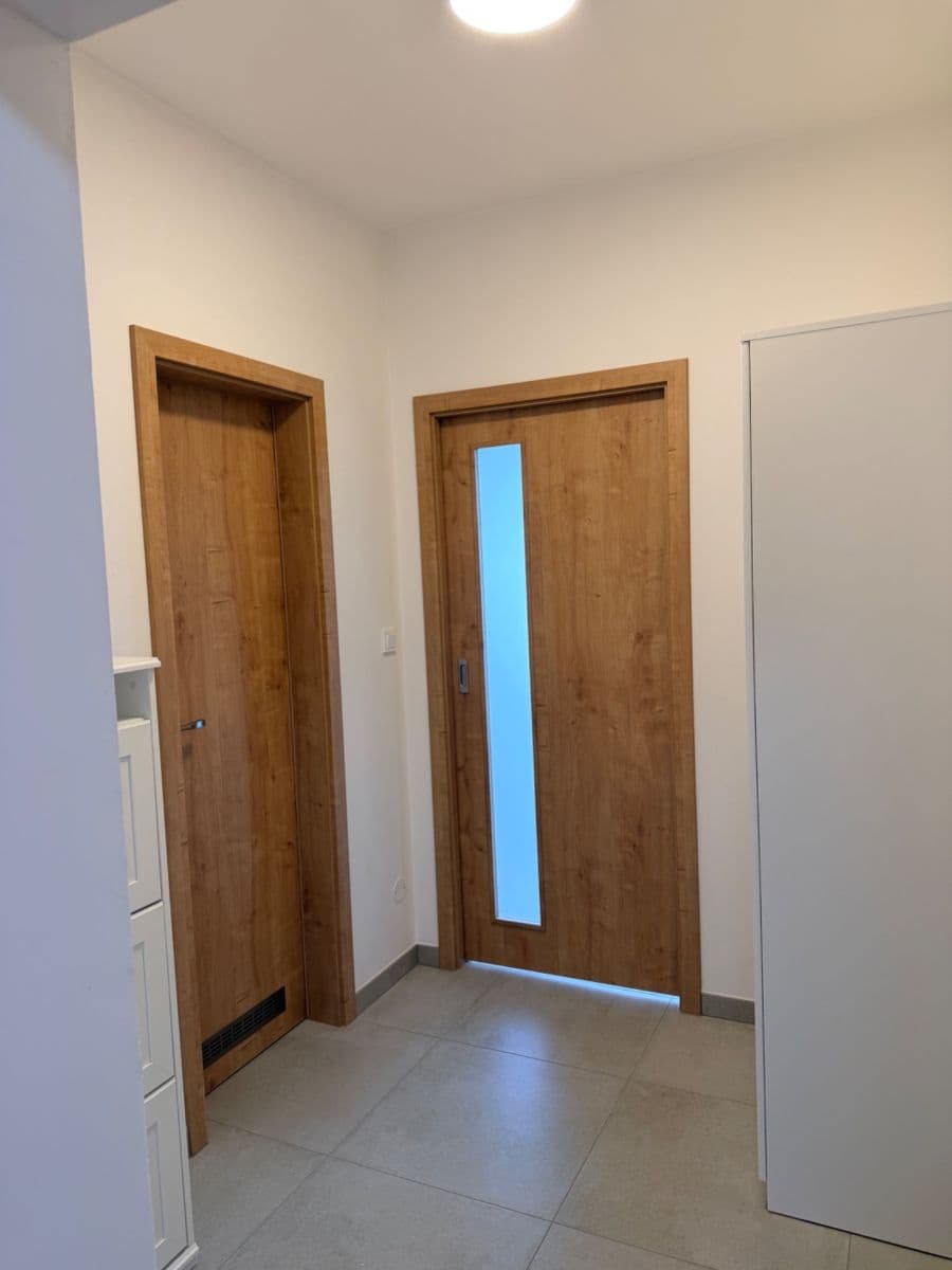 Pronájem bytu 1+kk 30 m², Břetislavova, Brno, Jihomoravský kraj Pronájem bytu 1+kk 30 m², Břetislavova, Brno, Jihomoravský kraj