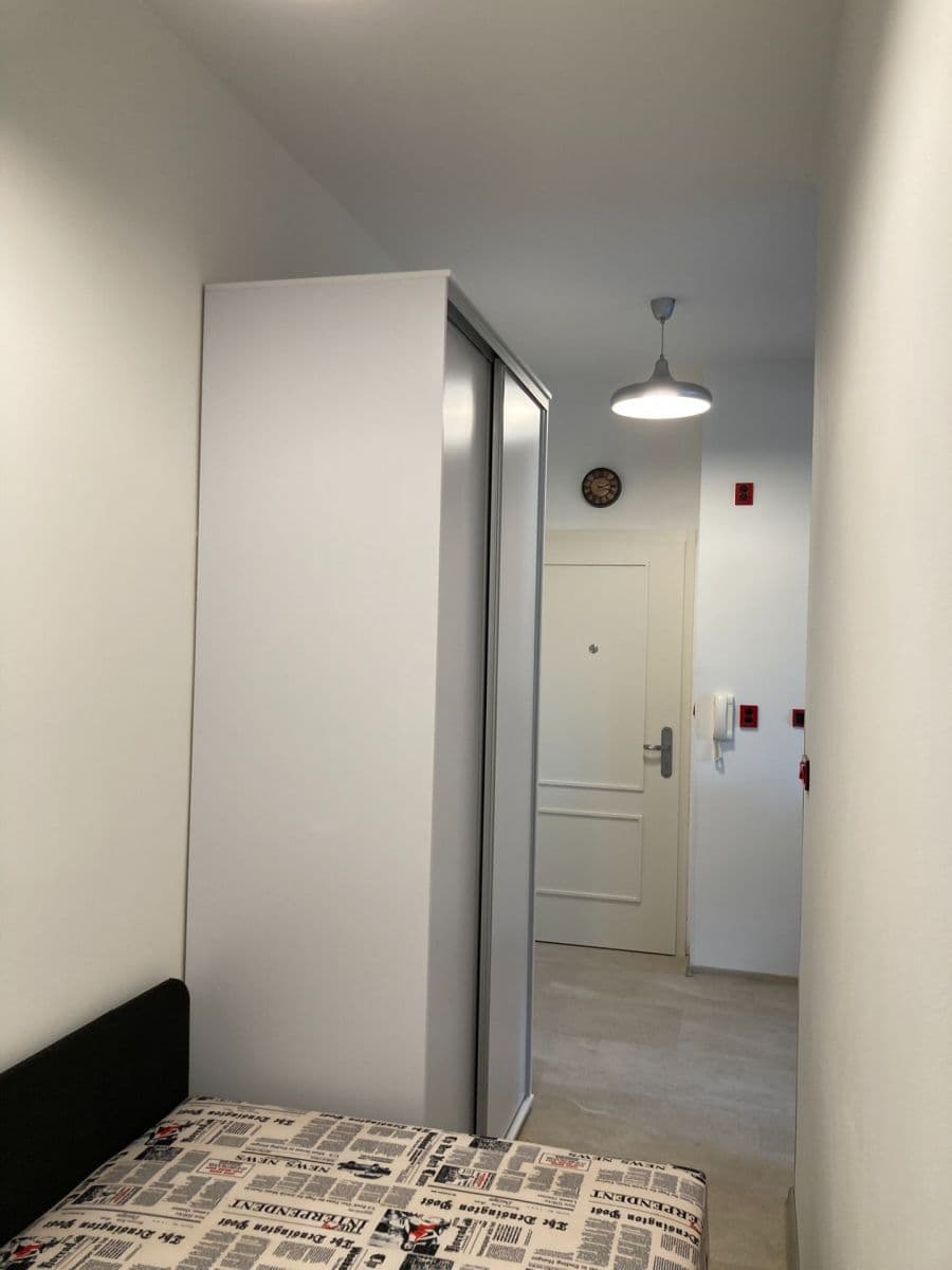 Pronájem bytu 1+kk 31 m², V Břízkách, Praha, Praha Pronájem bytu 1+kk 31 m², V Břízkách, Praha, Praha