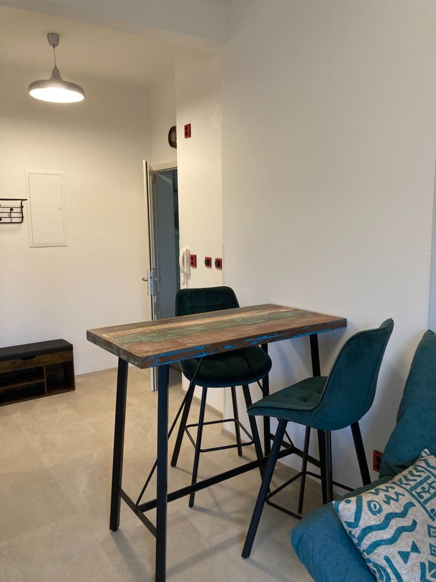 Pronájem bytu 1+kk 31 m², V Břízkách, Praha, Praha Pronájem bytu 1+kk 31 m², V Břízkách, Praha, Praha