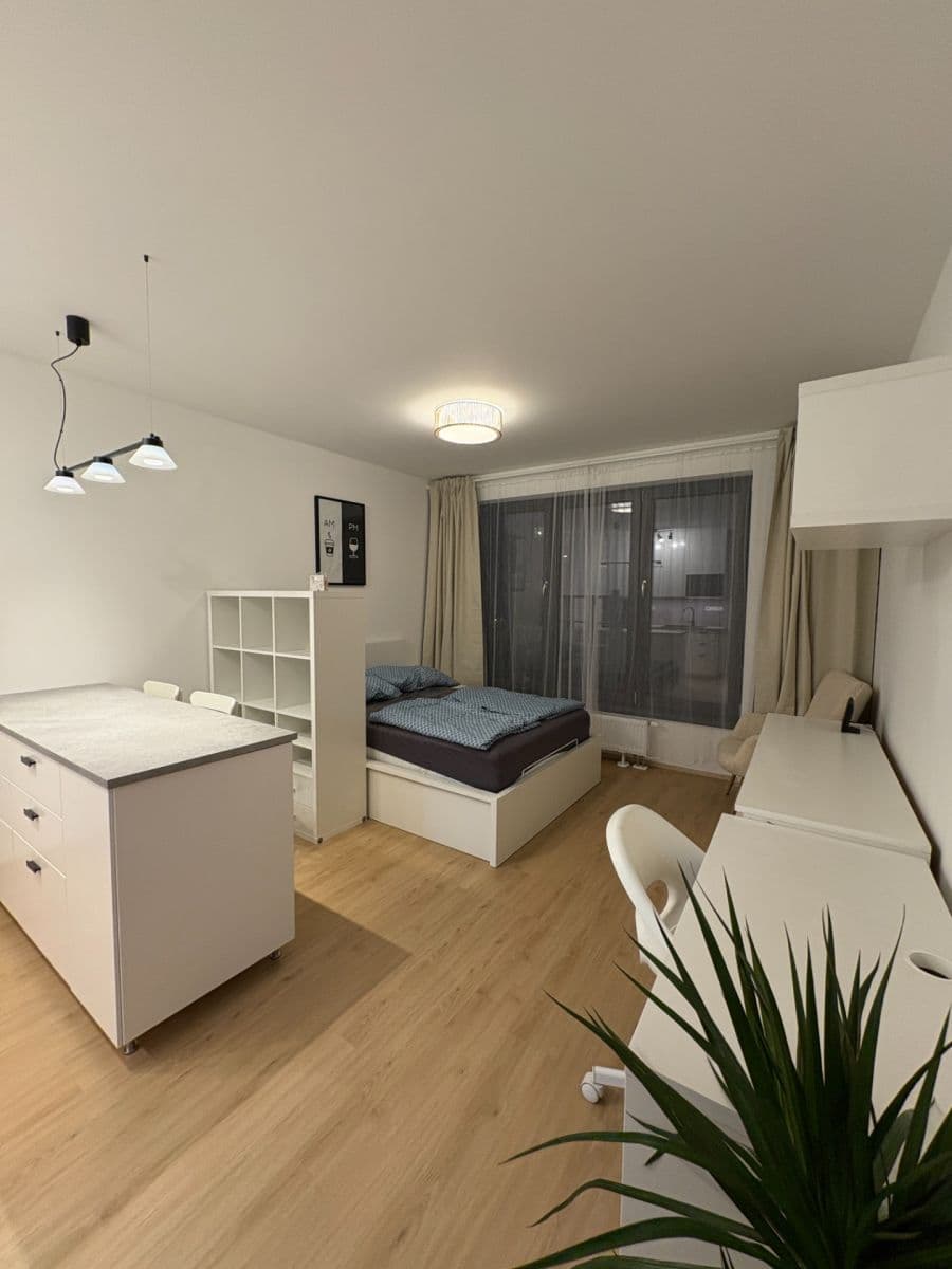 Pronájem bytu 1+kk 31 m², Železná, Plzeň, Plzeňský kraj Pronájem bytu 1+kk 31 m², Železná, Plzeň, Plzeňský kraj