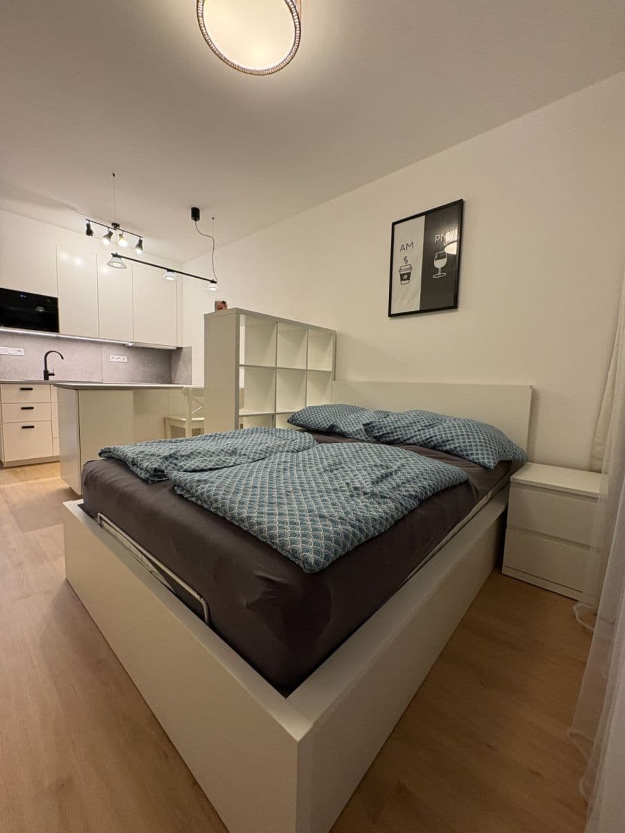Pronájem bytu 1+kk 31 m², Železná, Plzeň, Plzeňský kraj Pronájem bytu 1+kk 31 m², Železná, Plzeň, Plzeňský kraj