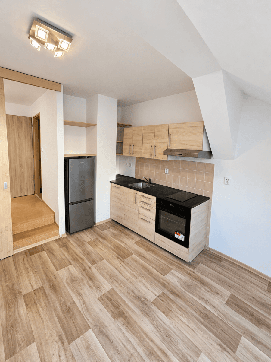 Pronájem bytu 1+kk 34 m², Vlhká, Brno, Jihomoravský kraj Pronájem bytu 1+kk 34 m², Vlhká, Brno, Jihomoravský kraj