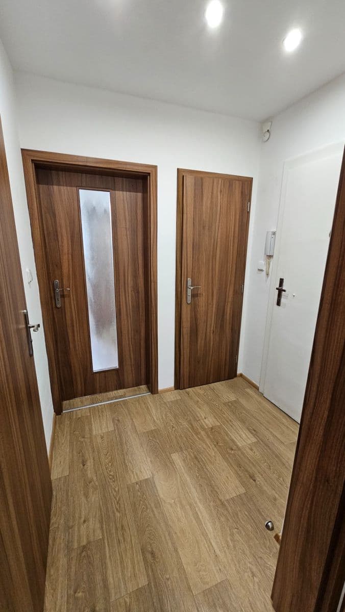 Pronájem bytu 2+kk 40 m², Spáčilova, Brno, Jihomoravský kraj Pronájem bytu 2+kk 40 m², Spáčilova, Brno, Jihomoravský kraj