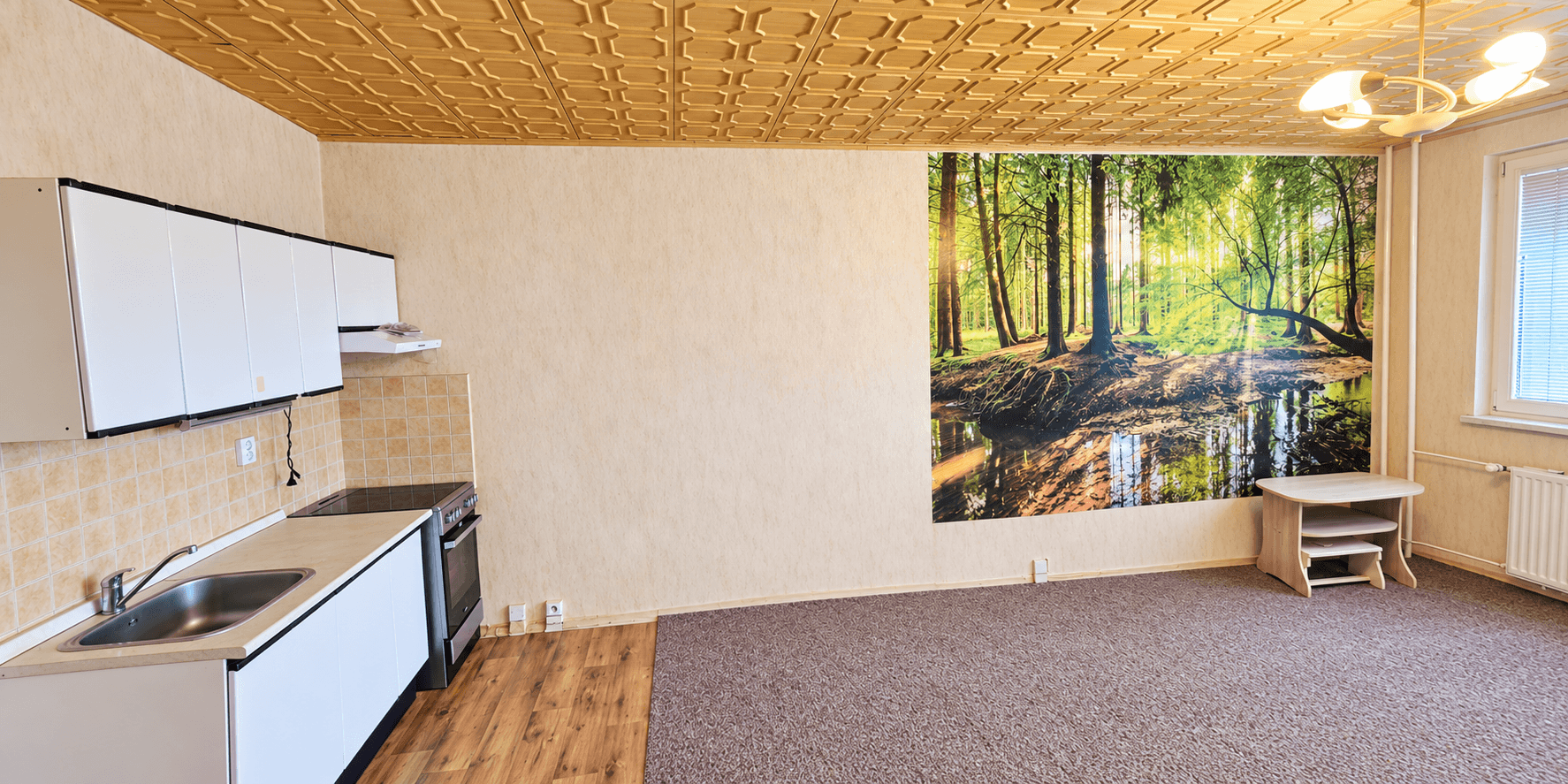 Prodej bytu 1+kk 34 m², F. S. Tůmy, Orlová, Moravskoslezský kraj Prodej bytu 1+kk 34 m², F. S. Tůmy, Orlová, Moravskoslezský kraj