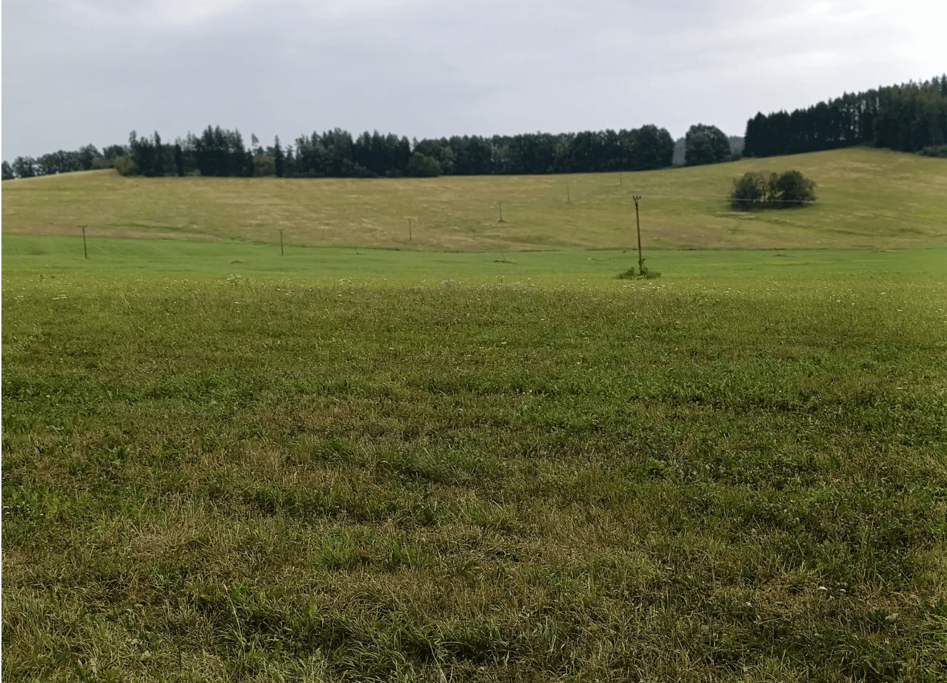 Prodej pozemku 6.999 m², Malšín, Jihočeský kraj Prodej pozemku 6.999 m², Malšín, Jihočeský kraj