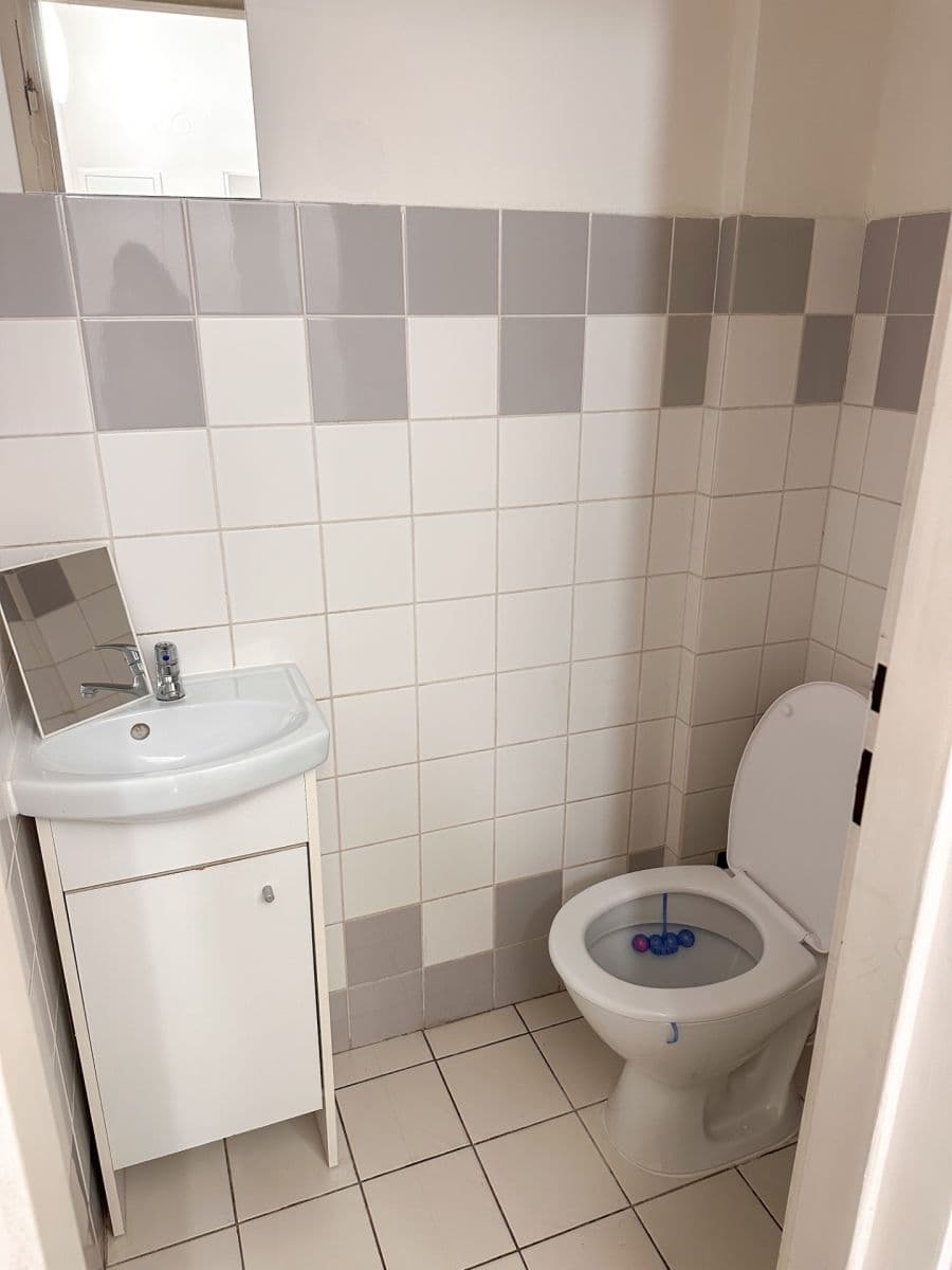 Pronájem bytu 3+kk 83 m², Máchova, Praha, Praha Pronájem bytu 3+kk 83 m², Máchova, Praha, Praha