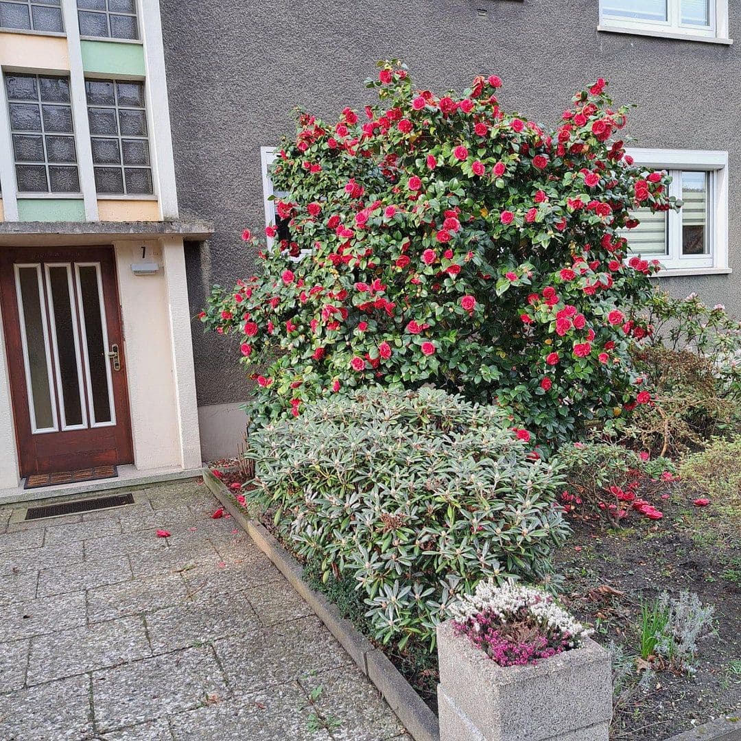 Pronájem bytu 3+1 53 m², Bottrop, Severní Porýní-Vestfálsko Pronájem bytu 3+1 53 m², Bottrop, Severní Porýní-Vestfálsko