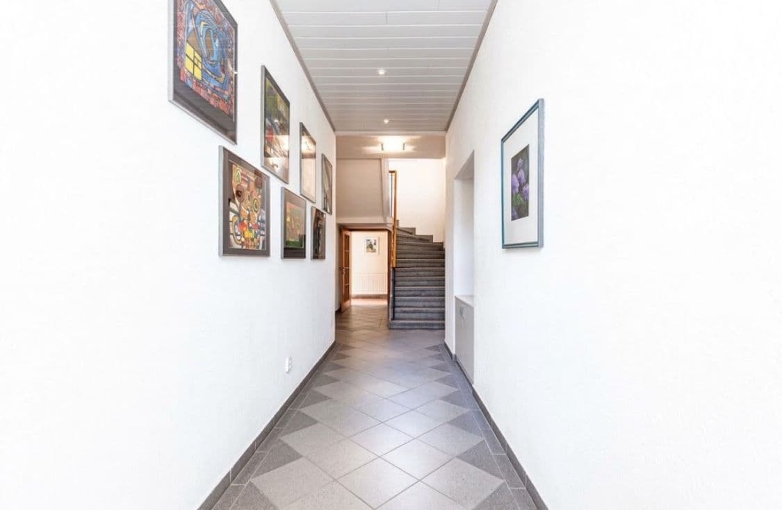 Prodej domu 600 m², pozemek 1.800 m², Borač, Jihomoravský kraj Prodej domu 600 m², pozemek 1.800 m², Borač, Jihomoravský kraj