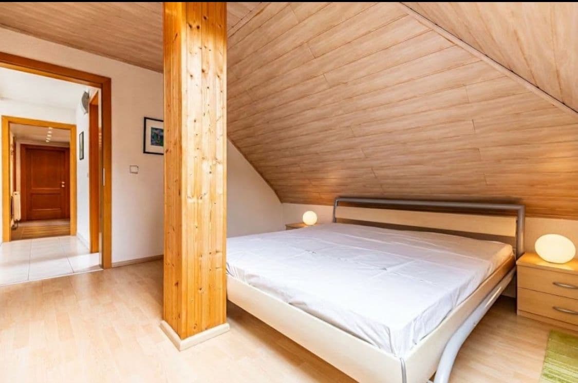 Prodej domu 600 m², pozemek 1.800 m², Borač, Jihomoravský kraj Prodej domu 600 m², pozemek 1.800 m², Borač, Jihomoravský kraj