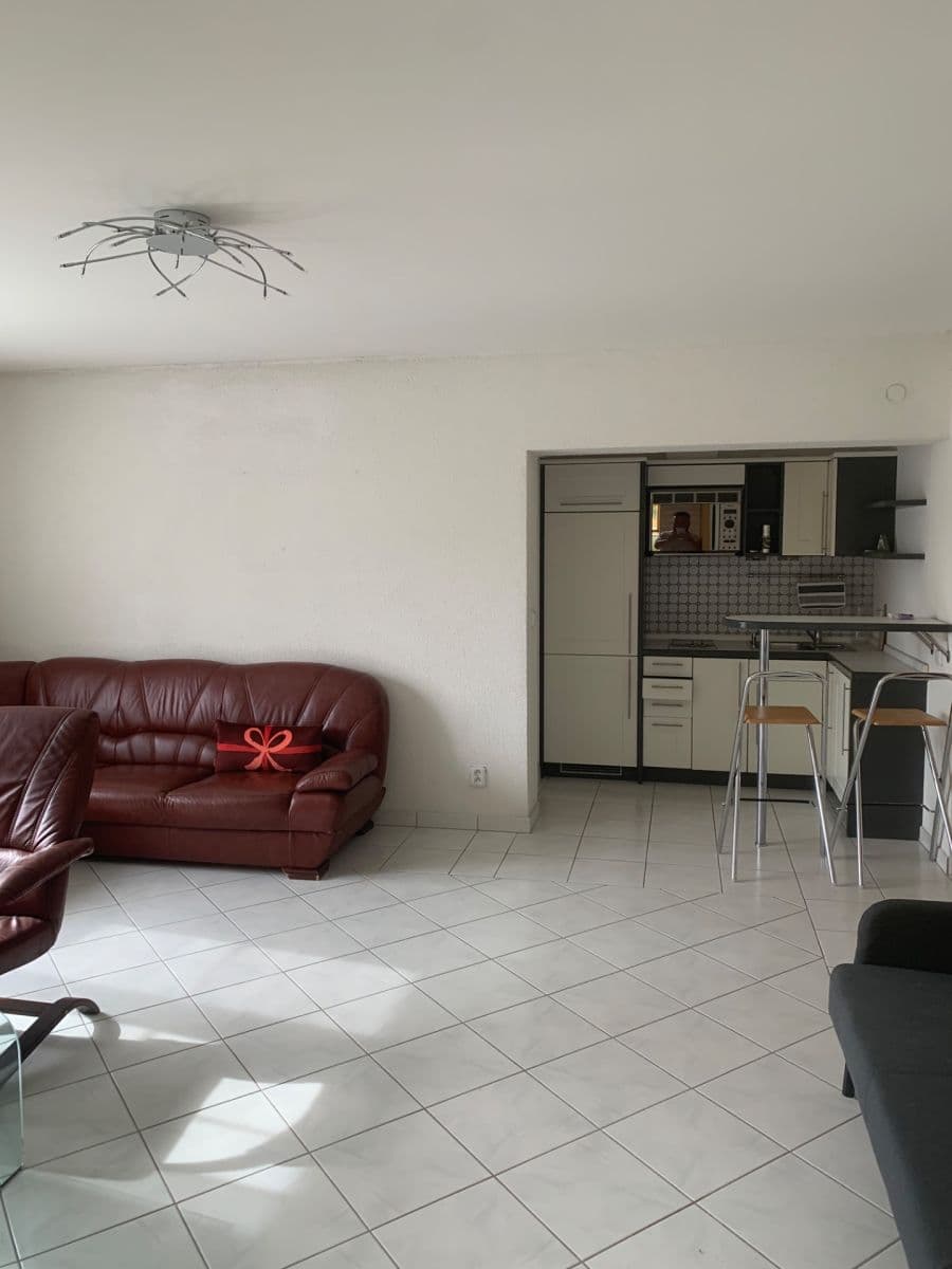 Prodej domu 600 m², pozemek 1.800 m², Borač, Jihomoravský kraj Prodej domu 600 m², pozemek 1.800 m², Borač, Jihomoravský kraj