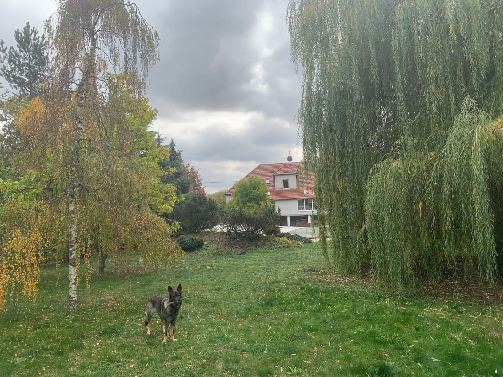 Prodej domu 600 m², pozemek 1.800 m², Borač, Jihomoravský kraj Prodej domu 600 m², pozemek 1.800 m², Borač, Jihomoravský kraj