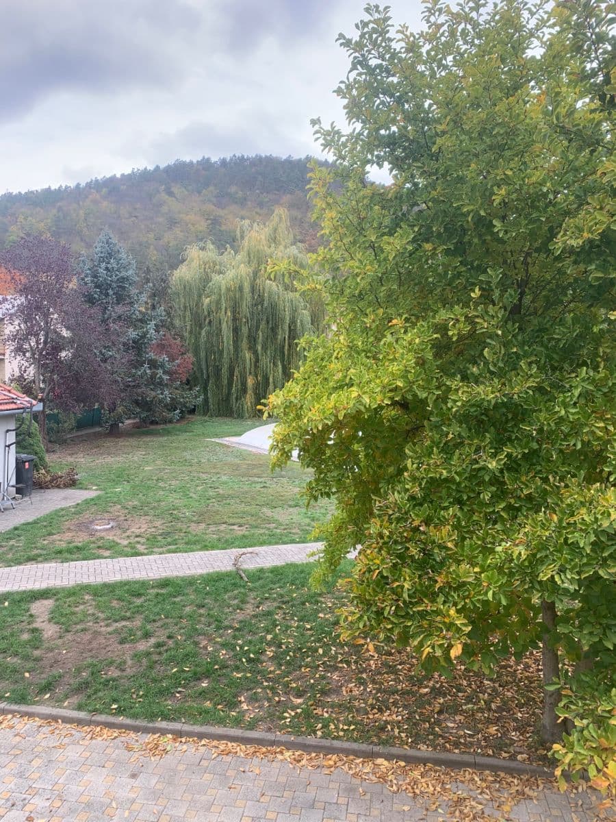 Prodej domu 600 m², pozemek 1.800 m², Borač, Jihomoravský kraj Prodej domu 600 m², pozemek 1.800 m², Borač, Jihomoravský kraj