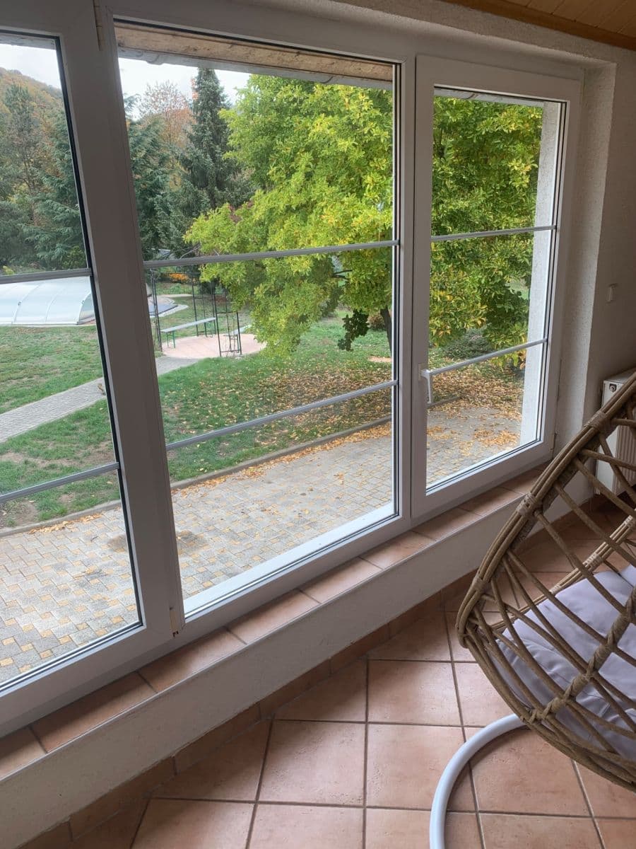 Prodej domu 600 m², pozemek 1.800 m², Borač, Jihomoravský kraj Prodej domu 600 m², pozemek 1.800 m², Borač, Jihomoravský kraj