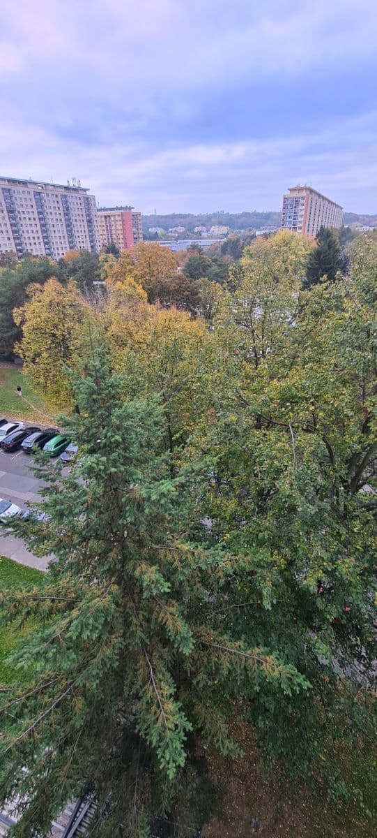Pronájem bytu 3+kk 66 m², Třebenická, Praha, Praha Pronájem bytu 3+kk 66 m², Třebenická, Praha, Praha