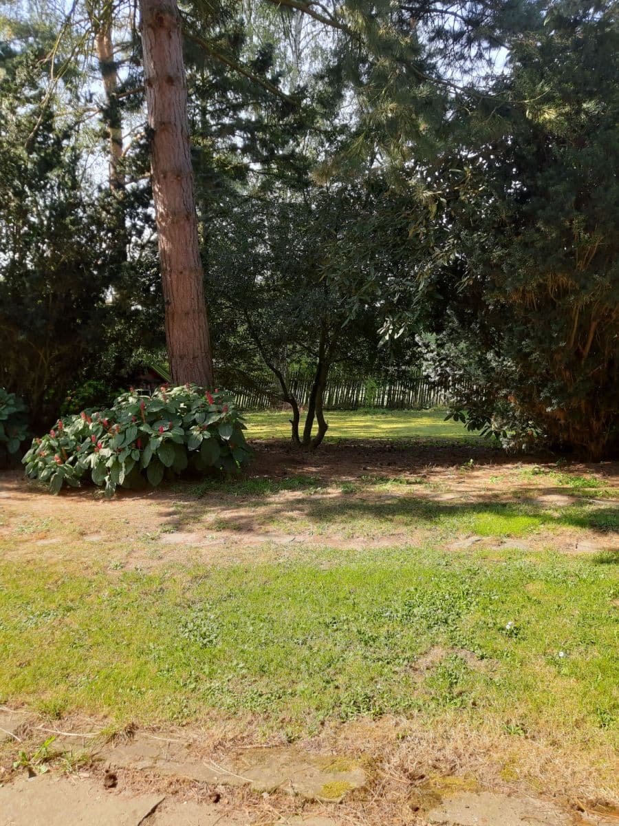 Prodej chaty, chalupy 350 m², pozemek 2.497 m², Úštěk, Ústecký kraj Prodej chaty, chalupy 350 m², pozemek 2.497 m², Úštěk, Ústecký kraj