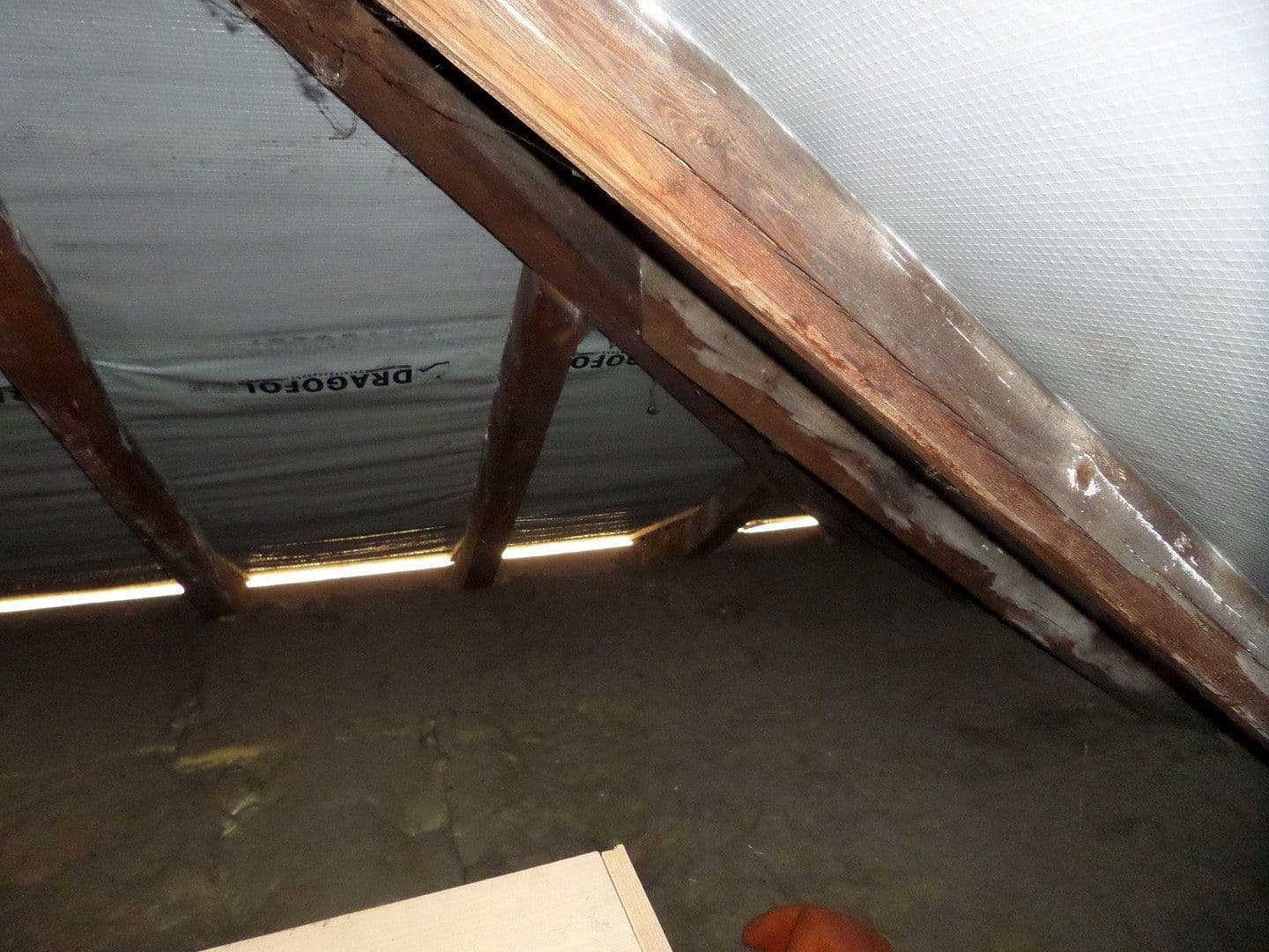 Prodej domu 81 m², pozemek 471 m², Lauchhammer, Braniborsko Prodej domu 81 m², pozemek 471 m², Lauchhammer, Braniborsko