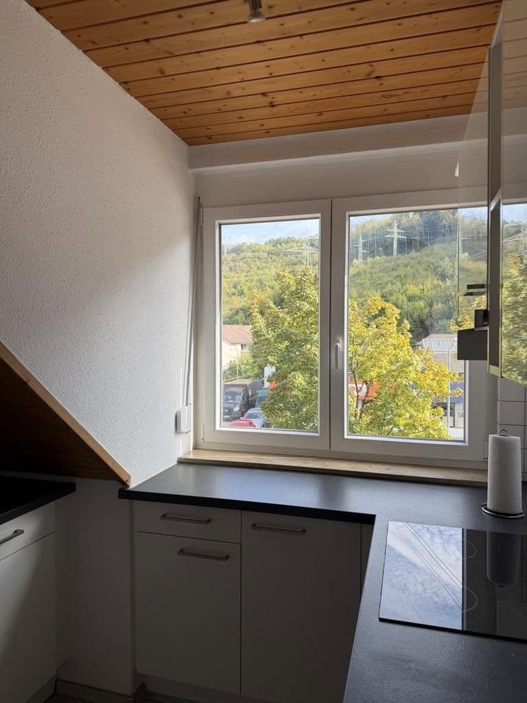Prodej bytu 1+kk 53 m², Lörracher Str. 90, Lörrach, Bádensko-Württembersko Prodej bytu 1+kk 53 m², Lörracher Str. 90, Lörrach, Bádensko-Württembersko