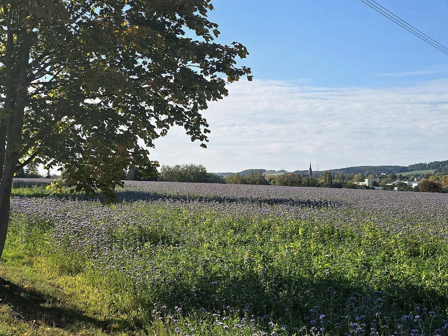 Pronájem bytu 3+1 60 m², Landgraben 8g, Hohenstein-Ernstthal, Sasko Pronájem bytu 3+1 60 m², Landgraben 8g, Hohenstein-Ernstthal, Sasko