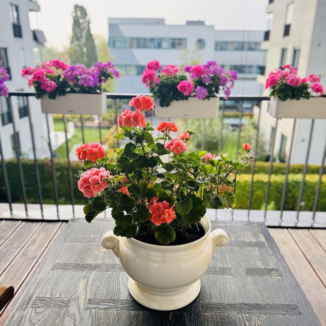 Prodej bytu 3+kk 88 m², Ostfildern, Bádensko-Württembersko Prodej bytu 3+kk 88 m², Ostfildern, Bádensko-Württembersko