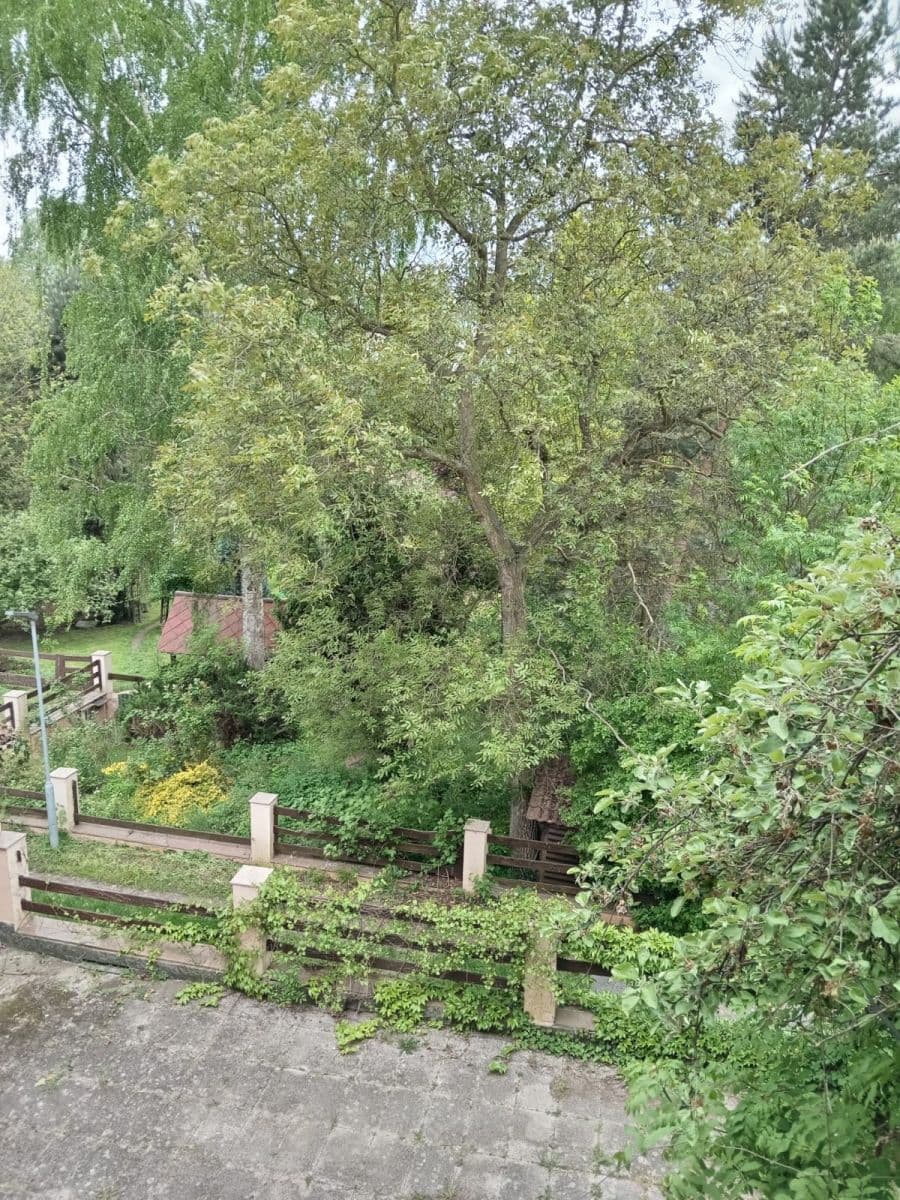 Pronájem bytu 3+kk 78 m², Pražská, Liběchov, Středočeský kraj Pronájem bytu 3+kk 78 m², Pražská, Liběchov, Středočeský kraj
