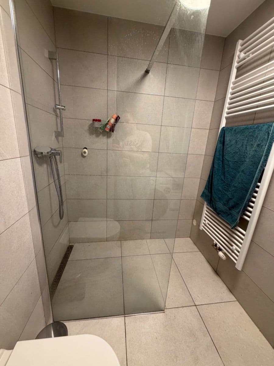 Pronájem bytu 1+kk 31 m², Spolková, Brno, Jihomoravský kraj Pronájem bytu 1+kk 31 m², Spolková, Brno, Jihomoravský kraj