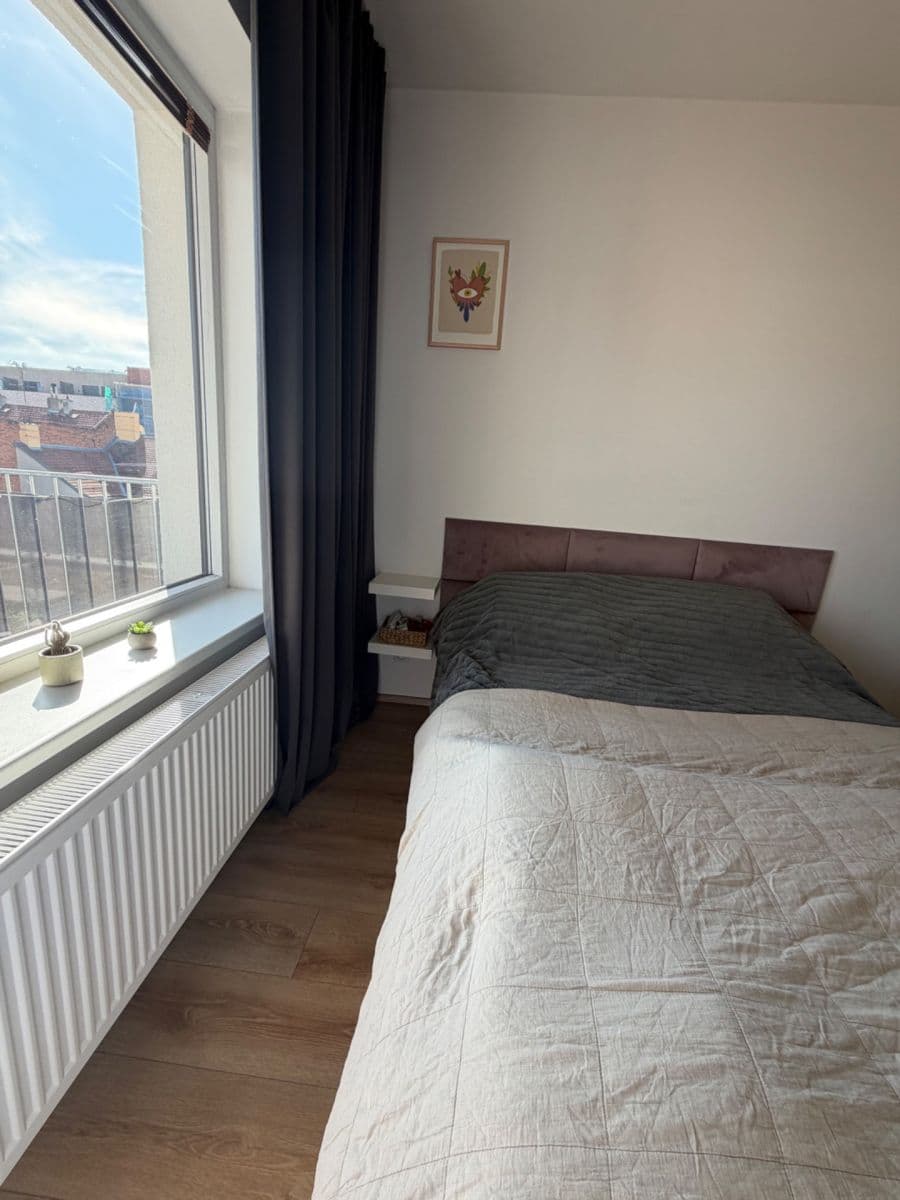 Pronájem bytu 1+kk 31 m², Spolková, Brno, Jihomoravský kraj Pronájem bytu 1+kk 31 m², Spolková, Brno, Jihomoravský kraj