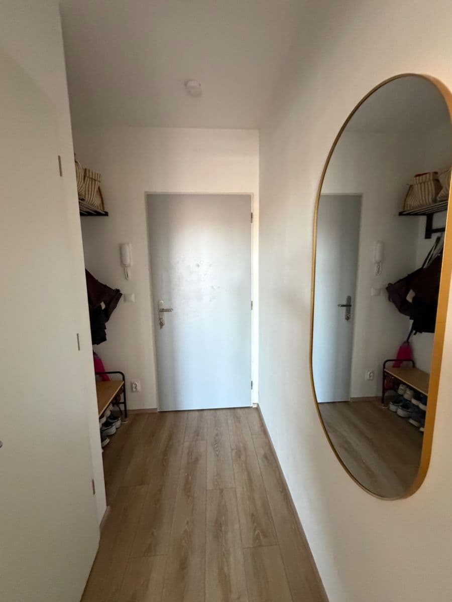 Pronájem bytu 1+kk 31 m², Spolková, Brno, Jihomoravský kraj Pronájem bytu 1+kk 31 m², Spolková, Brno, Jihomoravský kraj