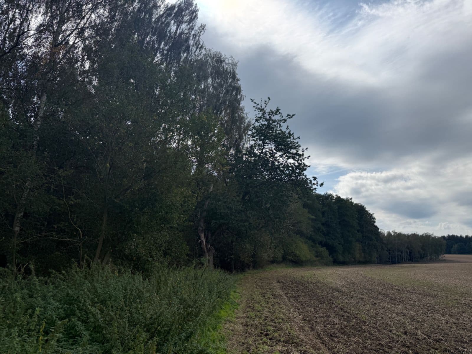 Prodej pozemku 9.770 m², Lipová, Karlovarský kraj Prodej pozemku 9.770 m², Lipová, Karlovarský kraj