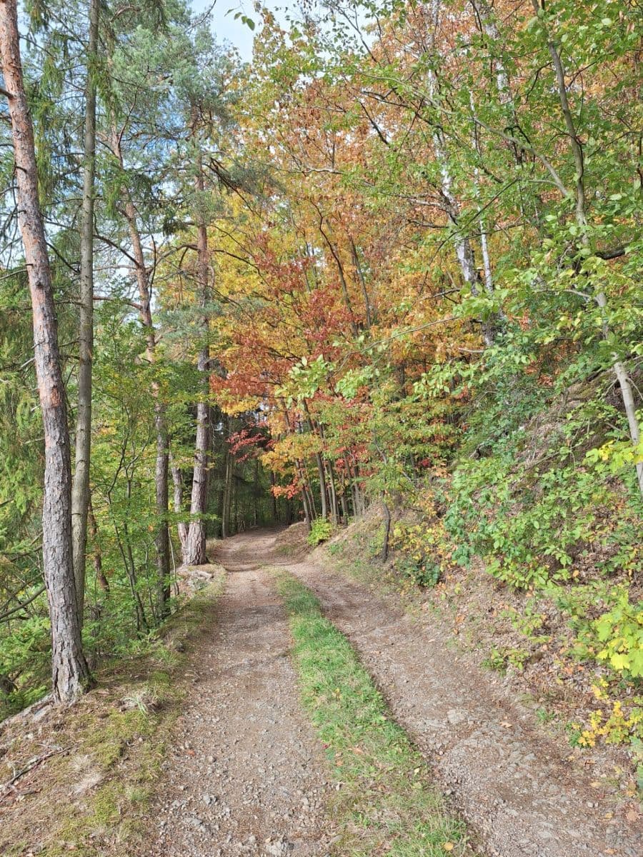Prodej chaty, chalupy 100 m², pozemek 746 m², V Brdcích, Zbiroh, Plzeňský kraj Prodej chaty, chalupy 100 m², pozemek 746 m², V Brdcích, Zbiroh, Plzeňský kraj