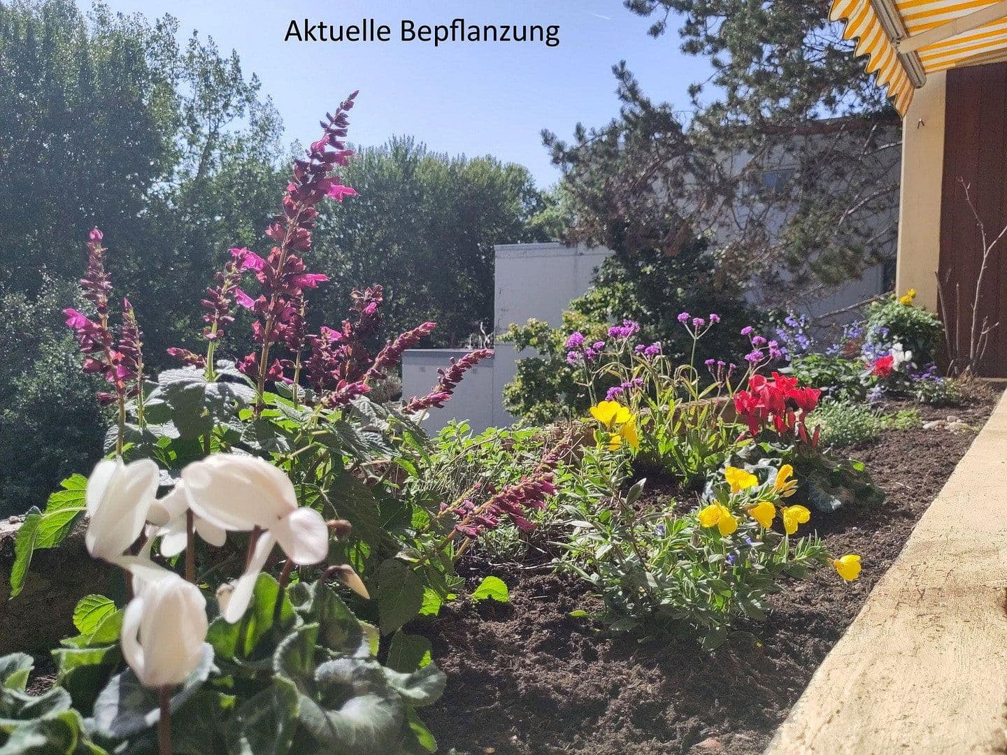 Prodej bytu 5+1 134 m², Bonn, Severní Porýní-Vestfálsko Prodej bytu 5+1 134 m², Bonn, Severní Porýní-Vestfálsko
